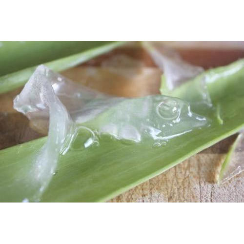 Shatras Agri Organic Aloe Vera Pulp, Pack Size: 100 kg