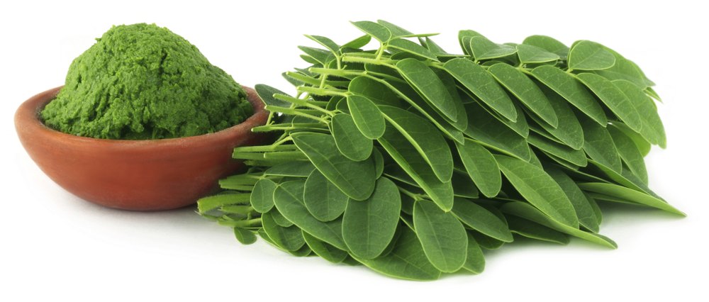 Moringa Leaves, 10 Kg, 20 Kg, Packaging Type: Pp Bags
