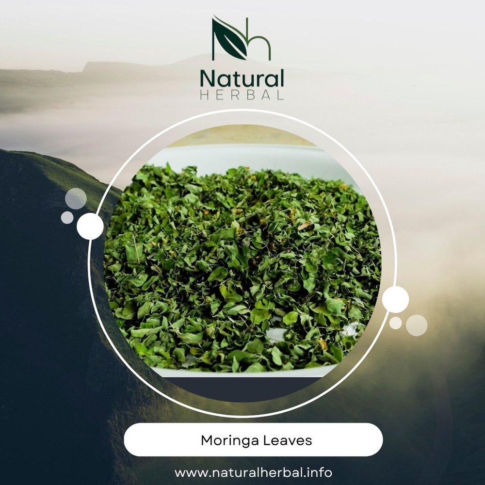 Moringa Oleifera Leaves