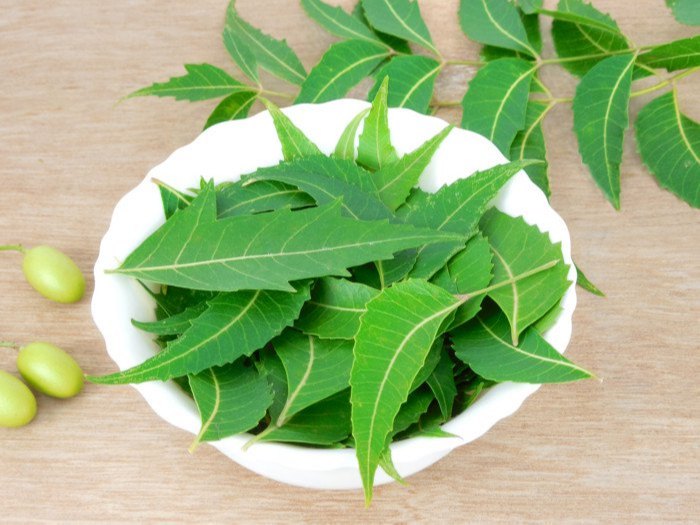 Stone Age Dry Neem Leaves, Grade Standard: Medical
