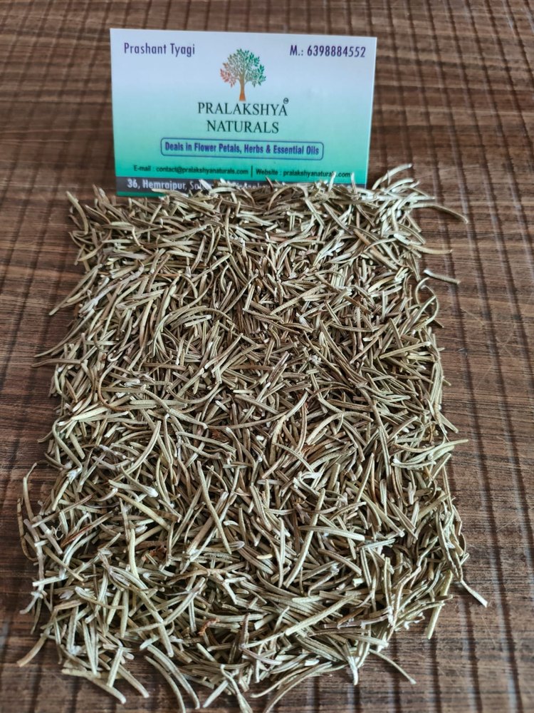 Natural Dried Rosemary Leaves, Packaging Type: Loose