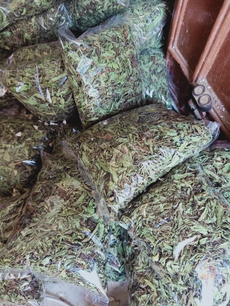 Leaf, Powder Stevia Leaf, Packaging Type: PP Bag, Packaging Size: 25 Kg