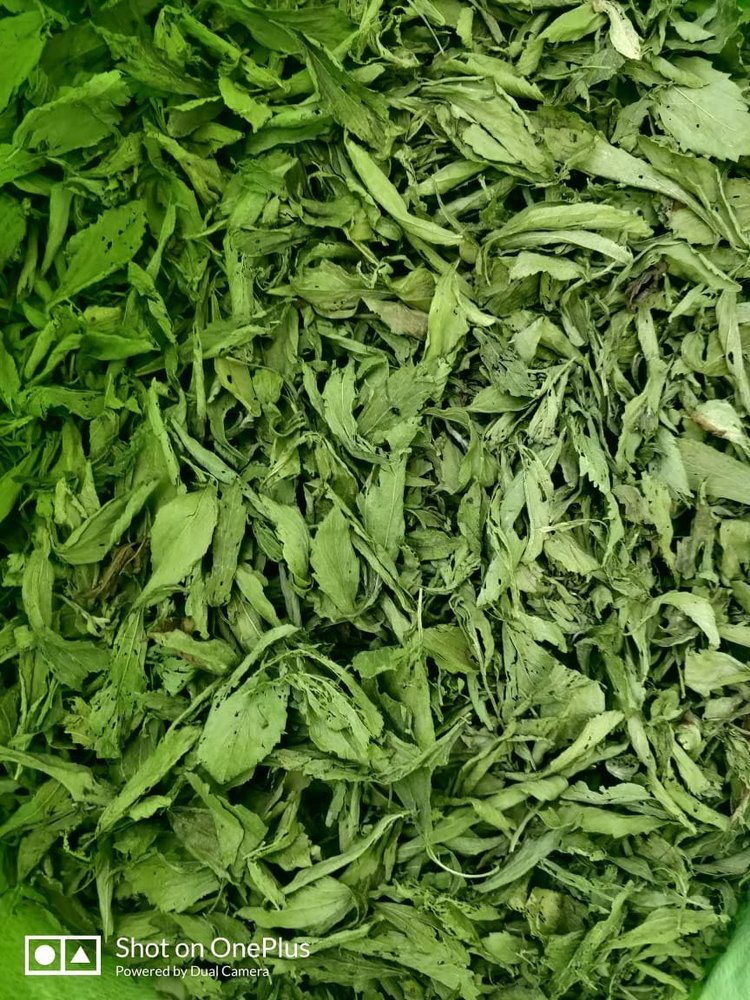 Solid Dry Stevia Leaves, Packaging Type: PP Bag, Packaging Size: 5 kg
