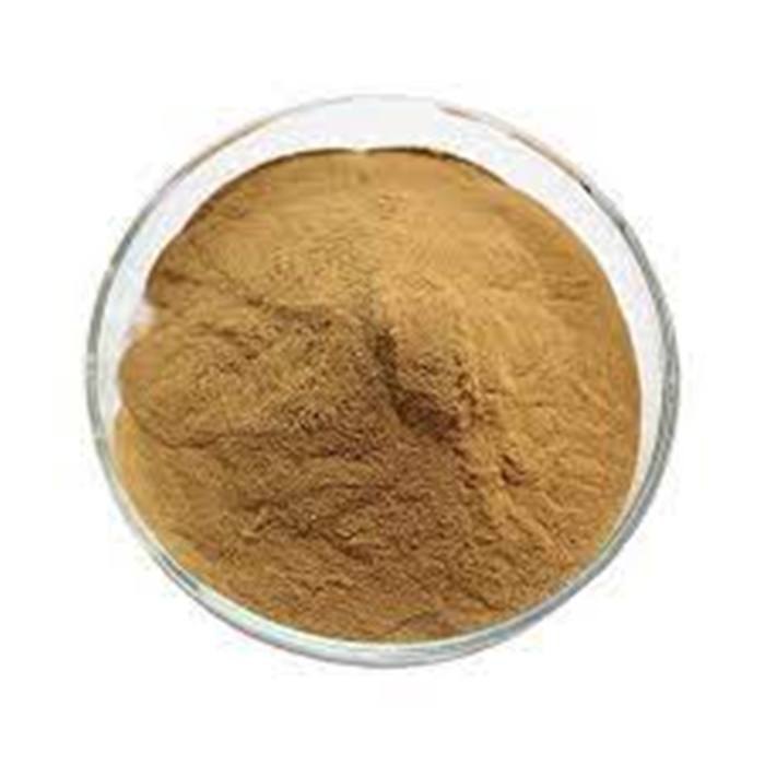 shivay Brown Green Coffee Powder, Packaging Size: 1 KG To 50 KG