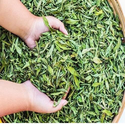Green Stevia dry leaf, Packaging Type: Bag, Packaging Size: 25 kg
