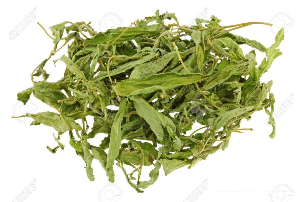 Green Dried Stevia Leaf (Stevia Rebaudiana), Packaging Size: 10kg