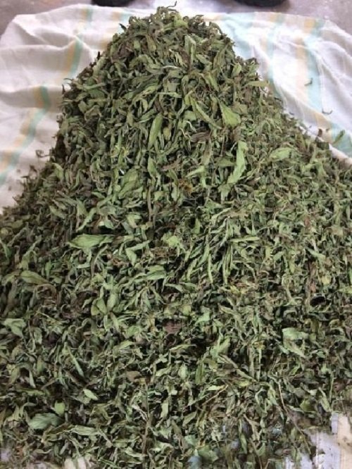 Green Stevia Dry Leaves, Grade: Medicine Grade