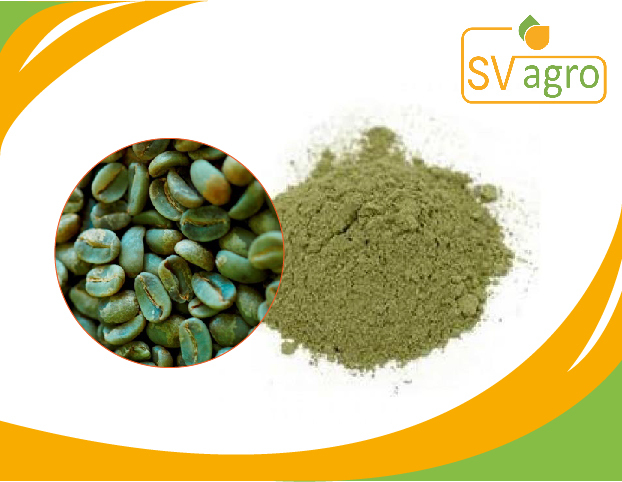 Green Coffee Bean Powder
