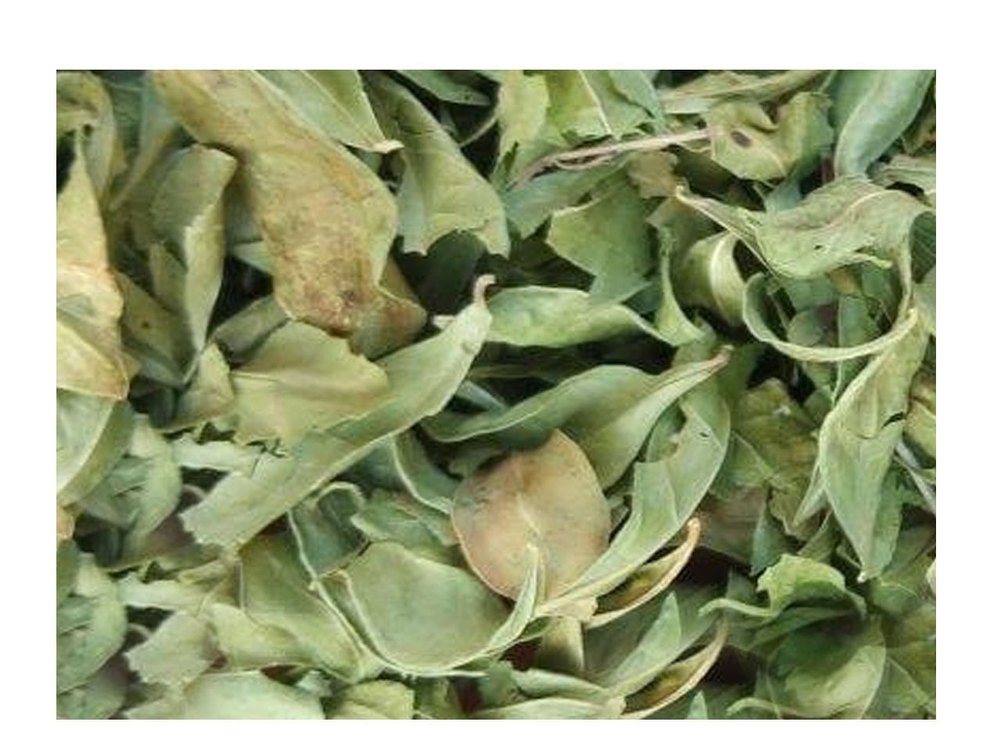 Northern Africa Green Dried Henna Leaves, Grade: A Grade, Packaging Type: Loose