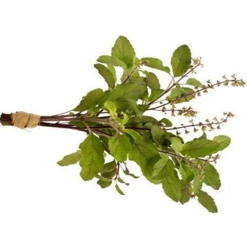 Rama Tulsi TBC - Holy Basil Leaves Tea Bag Cut
