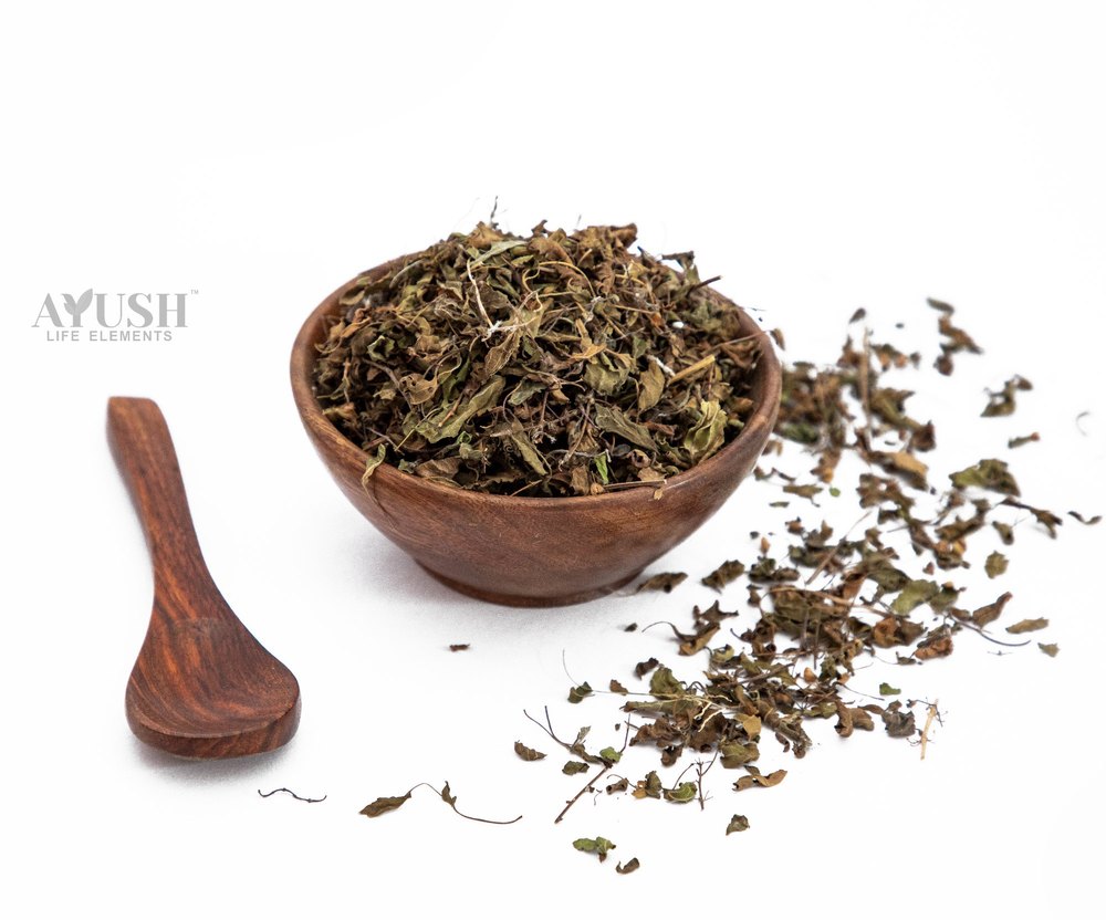 Shyama Tulsi - Ocimum Tenuiflorum - Holy Basil, 100 Kg, Leaves