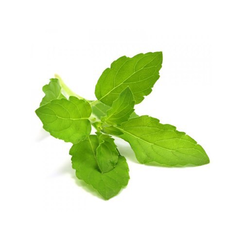 Holy Basil Leaves, 100 gm, Packet