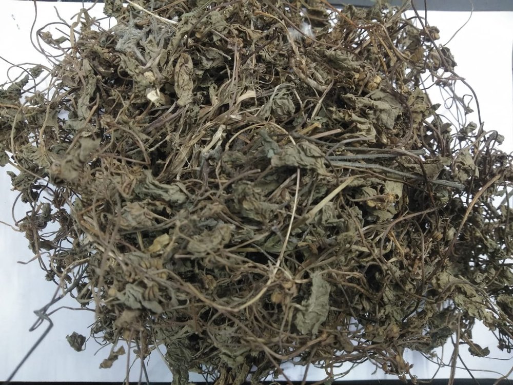 Green Dry Bringaraj Leaves, Packaging Type: Loose, Grade: A Grade