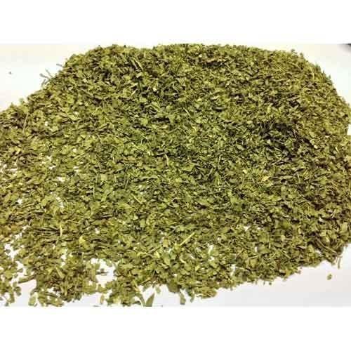 Green Organic PETROSELINUM SATIVUM Parsley Leaves