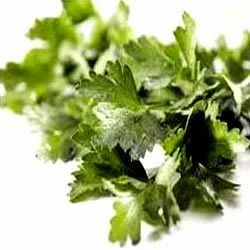 Flat Parsley Vegetables