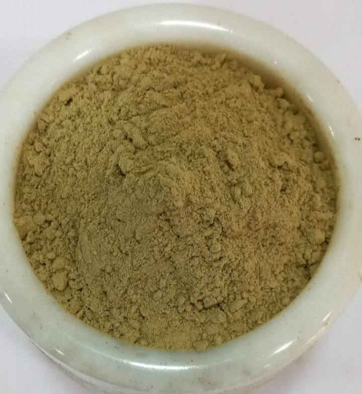 Papaya Leaves Powder, Packaging Size: 25kgs, Packaging Type: Plastic Bags