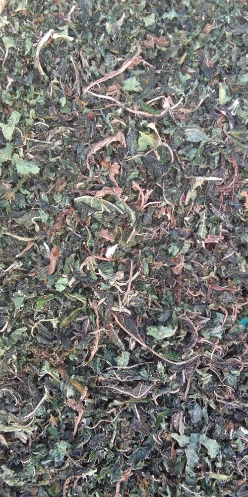 Brown Dried Papaya Leaves, Grade: Medicine Grade
