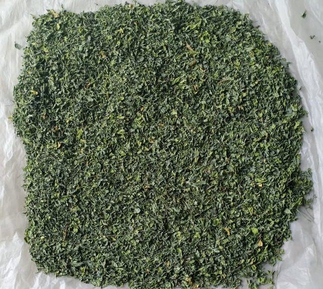 Green Sanwaliya Herbal Indigo Leaves Indigofera Cordifolia, Grade: Medicine Grade