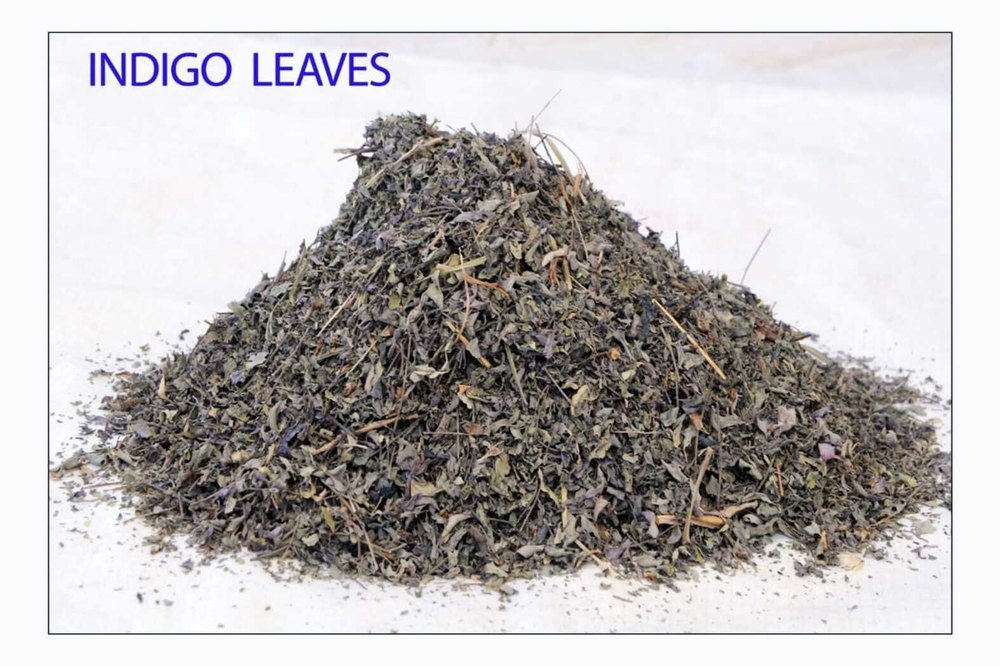 Dark Green Indigo Leaves, Grade: A Grade, Packaging Type: Loose