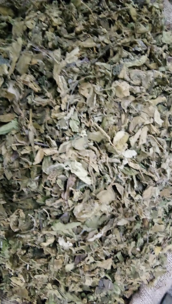 Green Gudmar Dried Leaves, Packaging Type: Bag, Grade: Medicine Grade