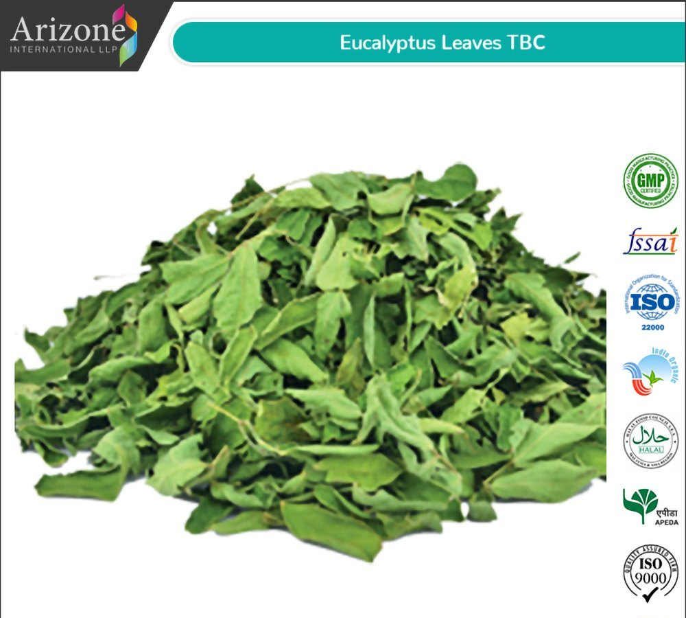 Green Eucalyptus Leaves TBC, Packaging Type: PP Liner Bag