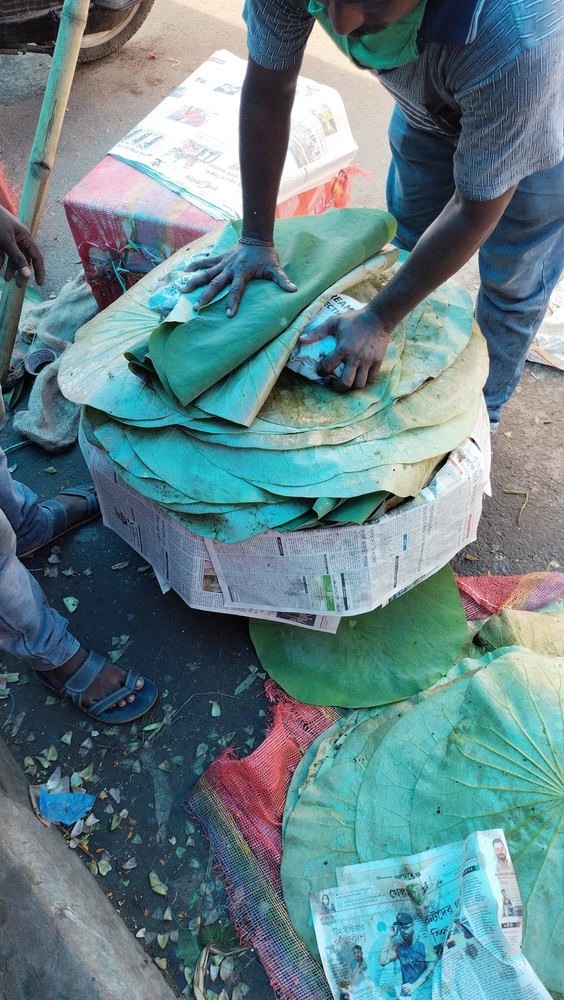 Green Natural Lotus Leaf, Packaging Type: Bag, Grade: A Grade