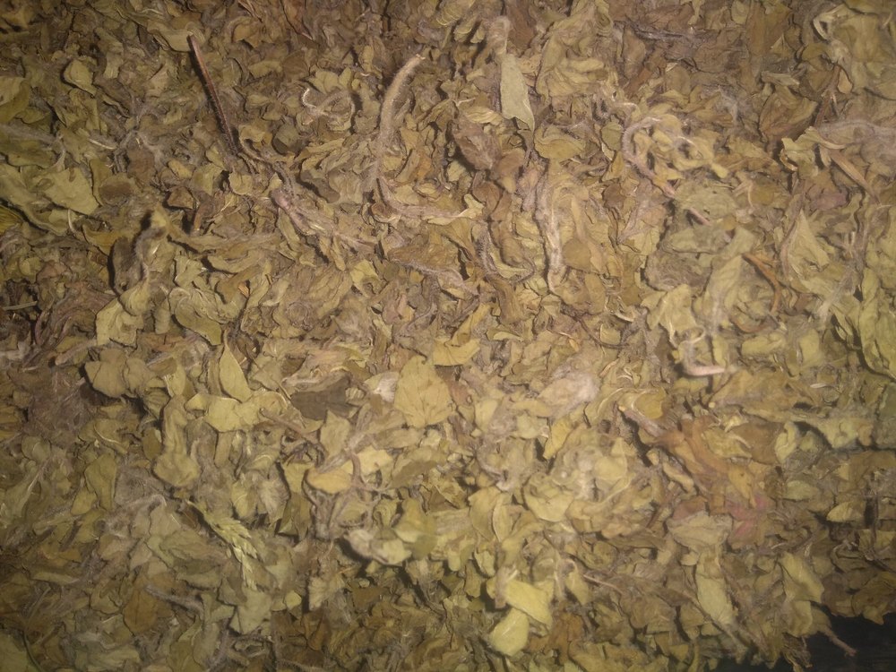 Green Dried Oregano Leaves, Packaging Size: 15 KG