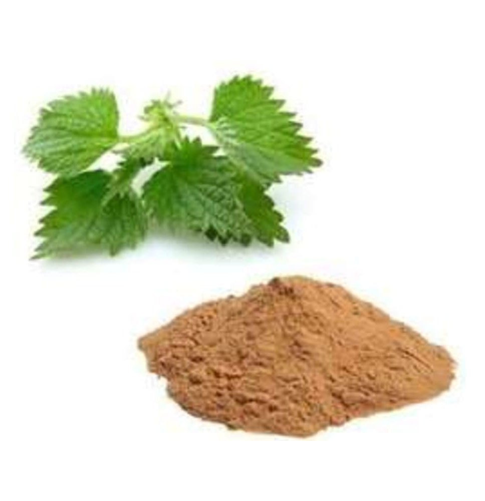 Nettle Root Extracts, Packaging Type: Packet