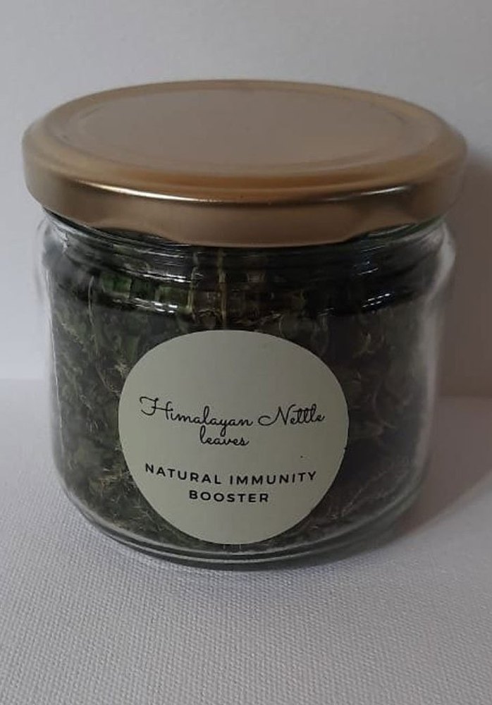 Dark Green 20gm Herbal Himalayan Nettle Leaves, Packaging Type: Jar