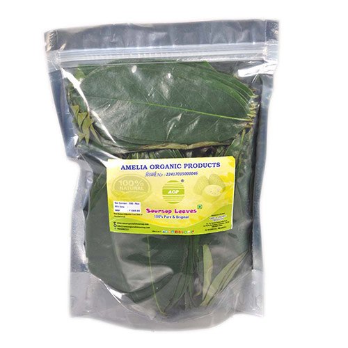 A Grade Soursop Fresh Leaves, Packaging Type: Carton, Packaging Size Available: 1 Kg