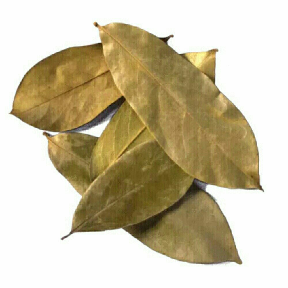 A Grade Soursop Dried Leaves, Packaging Size: 5Kg or 10 Kg