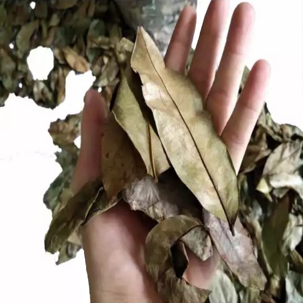 Dry Soursop Leaves, Grade: A Grade