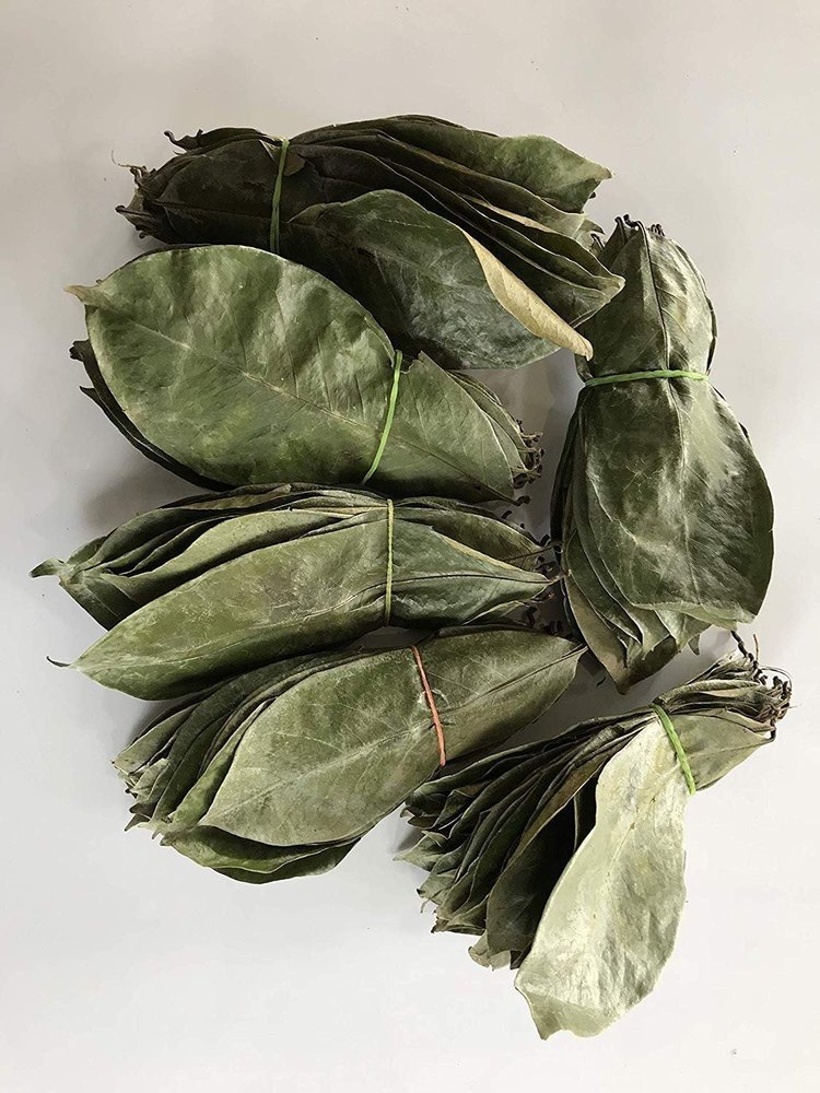 Soursop Graviola Guanabana Dry Leaves And Stems