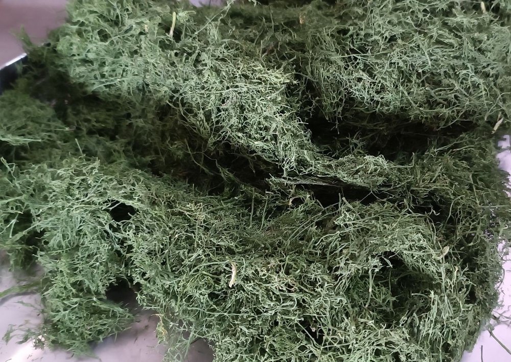 Green Dehydrated Dill Leaves, Grade: A Grade, Packaging Size: 1 kg