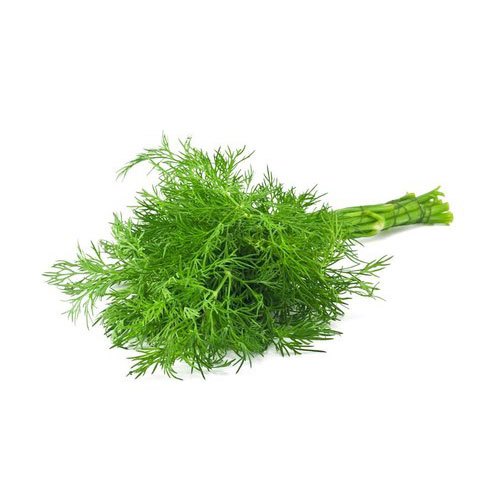 Organic Fresh Dill Leaves