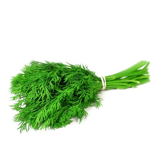 Green Dill Leaves