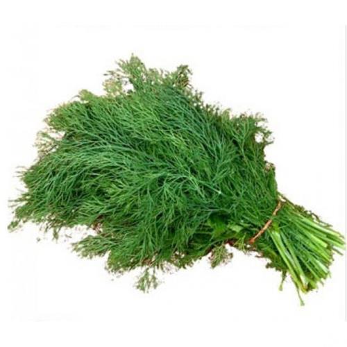 Organic Dill Leaves, Packaging Type: Packet