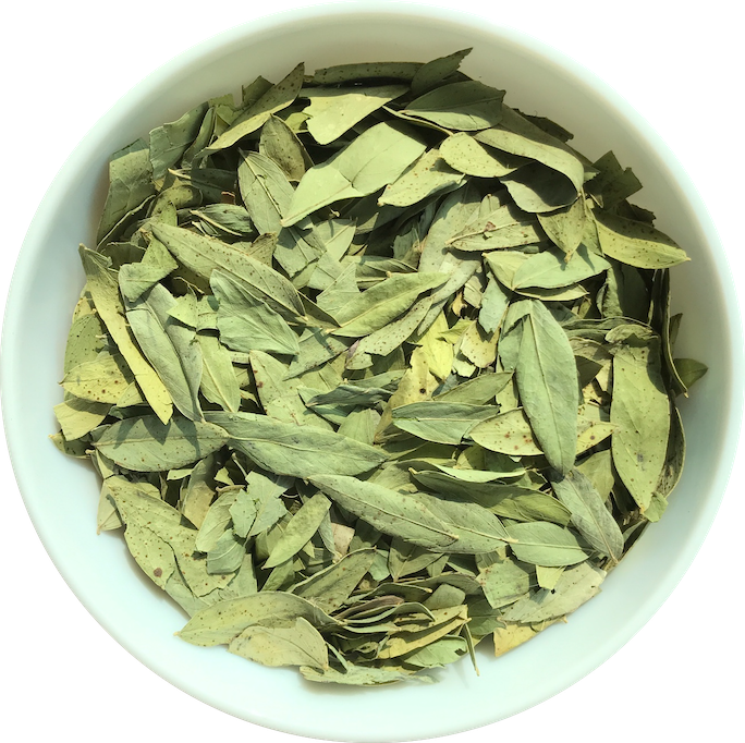 Natural Herbs Senna Leave, Packaging Type: Bag, Packaging Size: 5kg