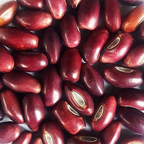 RED KALYANA MURUNGAI SEEDS, Packaging Size: 1KG, Packaging Type: 1 KG