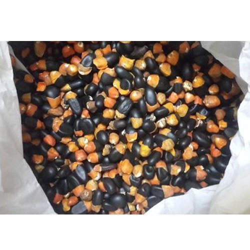 90% Latima Herbal Seed, Packaging Type: Poly Pack, Packaging Size: 100 Gm