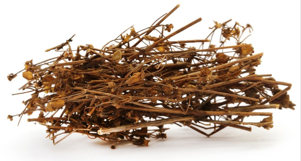 Chirata Seeds, For Herbal, Packaging Type: PP Bag