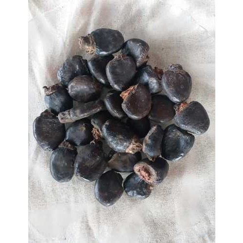 Black Bhilawa, Packaging Type: Plastic & Jute Bag