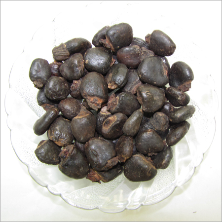 Semecarpus Anacardium Seeds