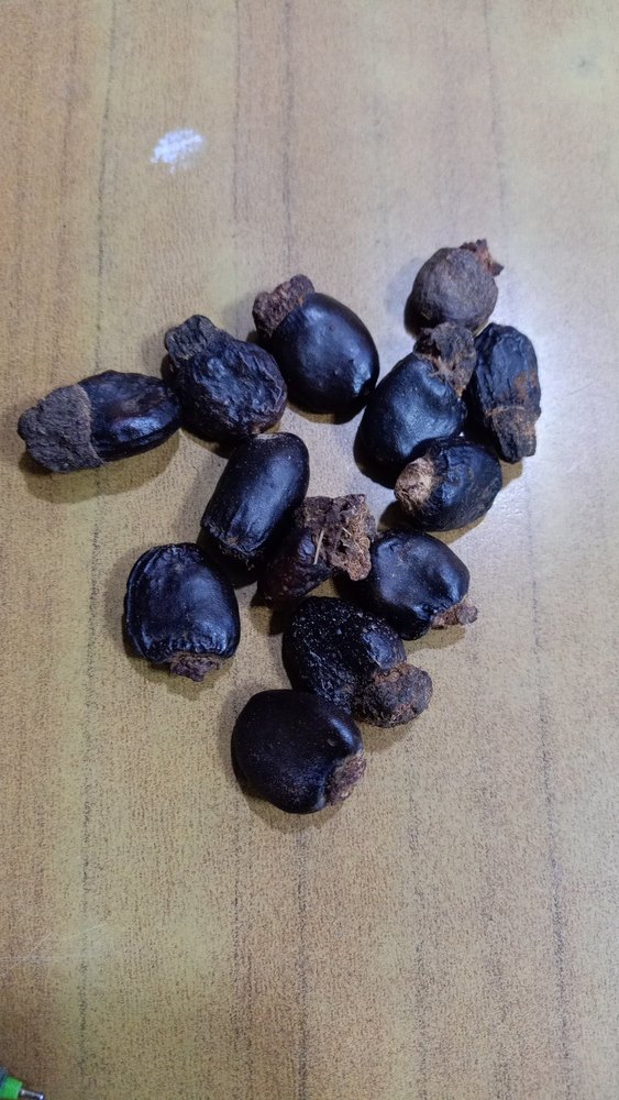 Bhilava, For Spices, Packaging Size: 25 kg