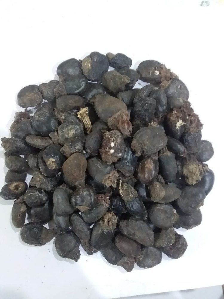 Dried Bhilawa, For Medicinal, Packaging Size: 100gm