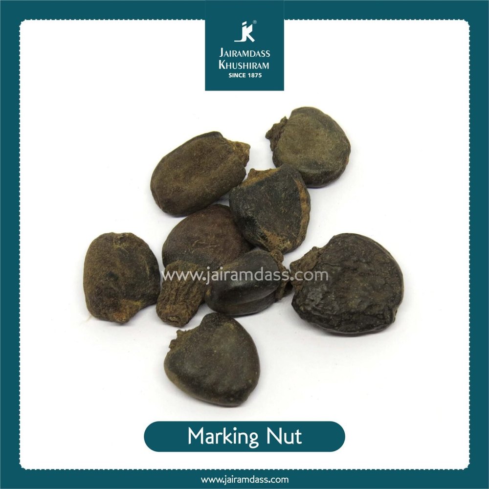 Semecarpus Anacardium / Marking Nut / Bhilawa, Packaging Type: Bag, Packaging Size: 50 Kg