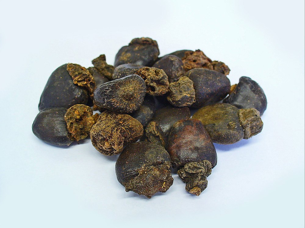 Bhilawa Seeds, Packaging Type: Gunny Bag, Packaging Size: 5 Kg