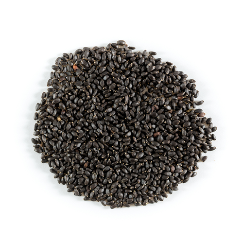 Stone Age Basil Seeds, Packaging Size: 25 Kgs, Packaging Type: Carton Box