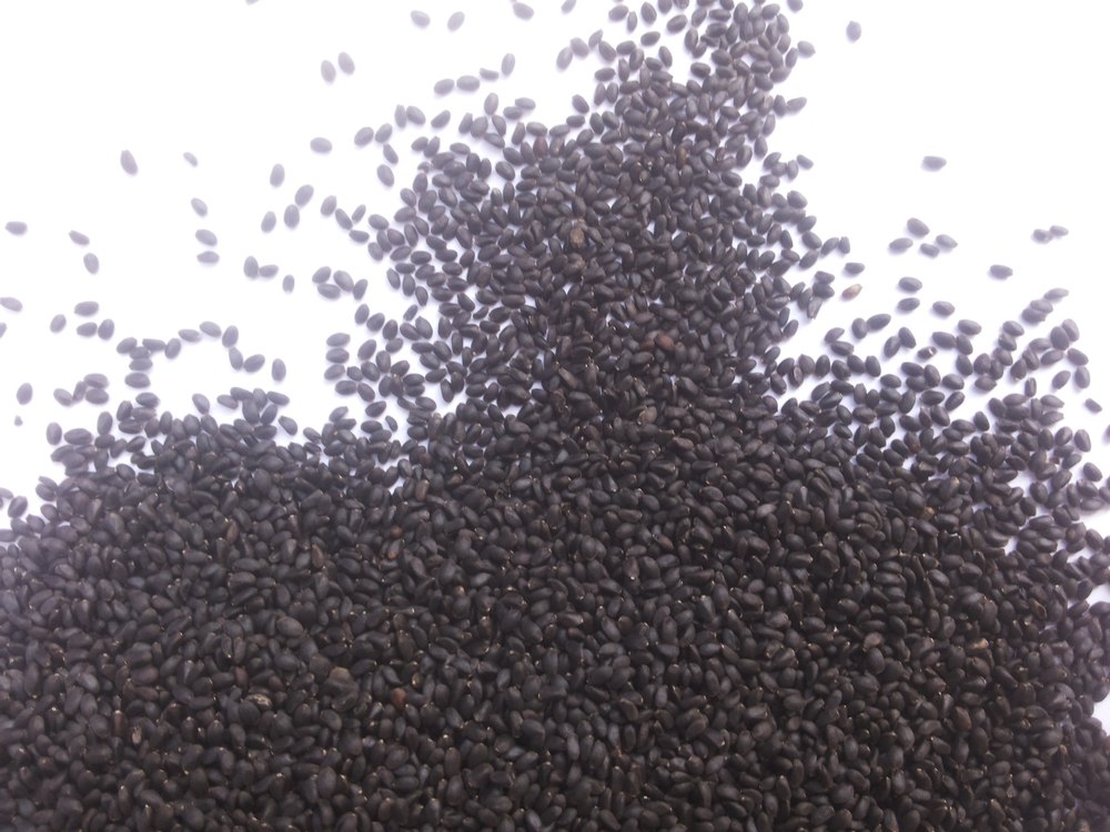 Basil Seeds