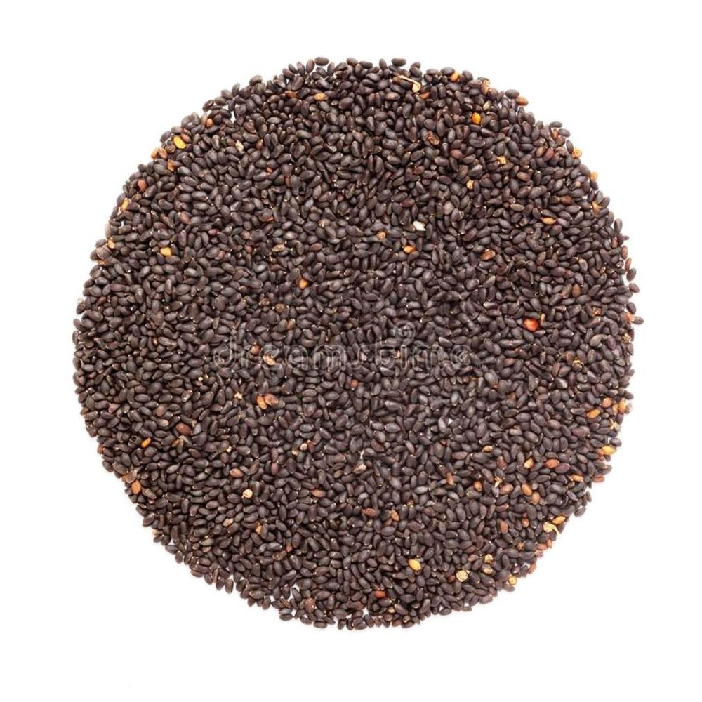 Organic Basil Seeds, For Medicinal, Packaging Size: 25 kg